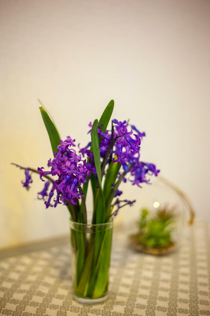 Artemida Apartment Tbs Tbilisi Zewnętrze zdjęcie
